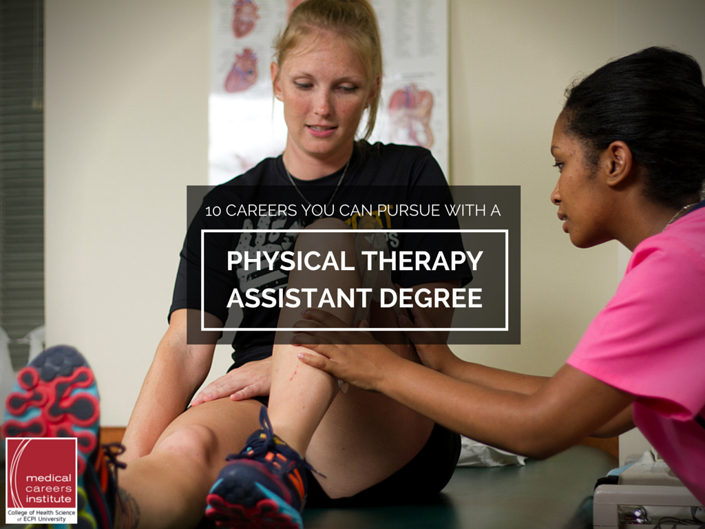 Physical Therapist Assistant or Occupational Therapist Assistant, anyone work in these jobs on here?